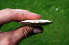 a hand holding a piece of wood in front of a green grass covered park area