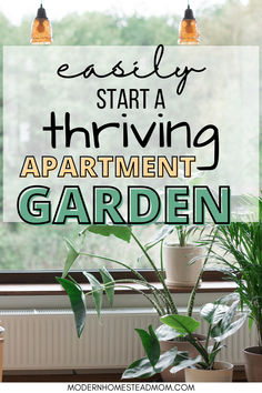 the words, easy start thriving apartment garden on a window sill next to potted plants