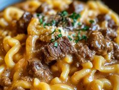 a close up of a plate of food with noodles and meat in sauce on it