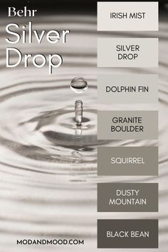 the color scheme for silver drop