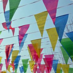 many colorful kites are flying in the sky