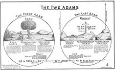 the two adamss are depicted in this diagram