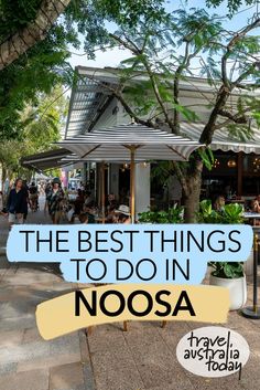 the best things to do in noosa, australia with text overlaying it