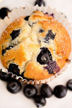 a blueberry muffin sitting on top of a white plate