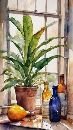 a watercolor painting of some bottles and a plant in front of a window sill