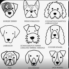 the different types of dogs that can be seen in this coloring book, including their names