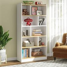 a living room with a chair, bookshelf and potted plant in it