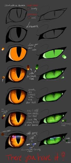 the different types of cats'eyes are shown in this drawing lesson, which shows how to