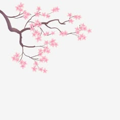 a branch with pink flowers on it against a white background