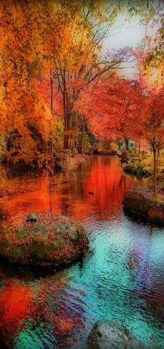 a river surrounded by lots of trees with orange and red leaves on it's sides