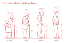 a line drawing showing the height and width of walking canes for different types of people