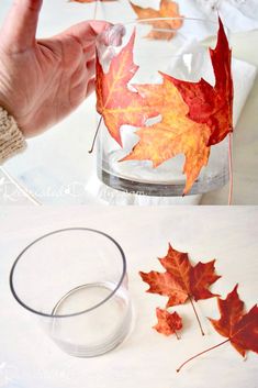 the leaves are being made out of glass and placed in front of a cup with water