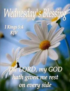 some white daisies with the words wednesday's blessing on it and a sky background