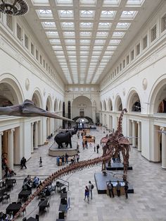 a museum filled with lots of different types of animals and people looking at them through the glass ceiling