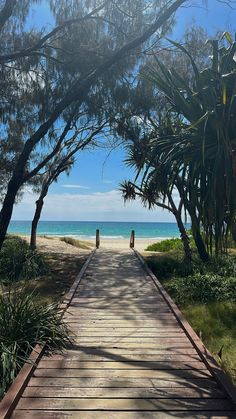 a wooden walkway leading to the beach through trees