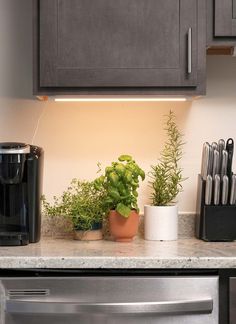 a kitchen counter with some plants and knives on it