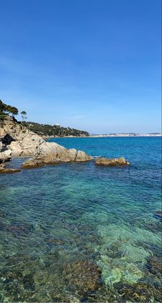 clear blue water with rocks and trees in the background