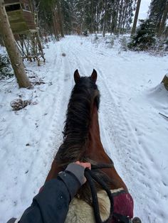 horse, horses, noriker horse, noriker, bare back, riding, eventing, trail ride, trail riding, riding, winter, January, 2022 dream, cold outdoor, western girl, country style, iPhone 11 camera, riding boot, brown horse, bay horse, cute horse, big horse, kaltblüter, Pferd, Pferde, Ausritt, Winter Ausritt, Schnee Ausritt, Schnee, Januar, winter wonderland Noriker Horse, Dr Aesthetic, Winter Horse, Riding A Horse, Cute Horse Pictures