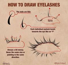 how to draw eyelashes for beginners with step by step instructions on the front and side