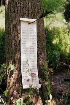 a tree with a sign attached to it's trunk and flowers growing out of the bark