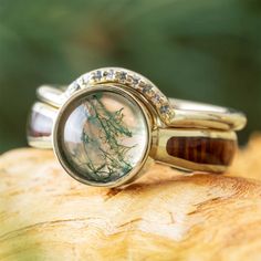 two rings with moss on them sitting on top of a piece of wood