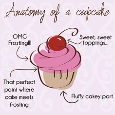 the anatomy of a cupcake