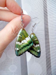 a close up of a person's hand holding a pair of butterfly shaped earrings