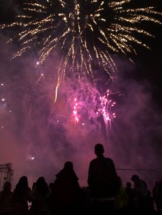 people watching fireworks in the night sky