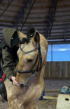 a man is standing next to a horse in an indoor arena with his head down