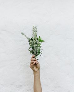 a person holding flowers in front of a white wall