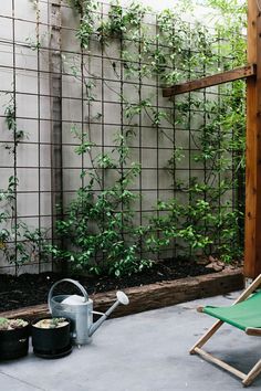 a patio with a chair, watering can and potted plants