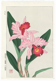 two pink flowers with green leaves in front of a white background and chinese writing on the bottom