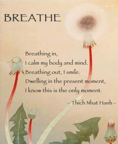 a card with a dandelion on it that reads breathe breathing in, i calm my body and mind breathing out, i smile dwelling in the present moment