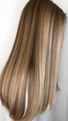 Honey Blonde Highlights On Brown Hair Straight, Dark Golden Blonde Highlights, Ash Blonde Highlights Straight Hair, Healthy Dark Blonde Hair, Golden Blonde Balayage Dark Roots, Half Head Highlights Brown Hair Straight, Blonde Hairlights On Brown Hair, Harvest Blonde Hair, Brown Hair With Blonde Highlights Straight