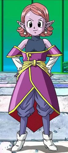 Supreme Kai Of Time, Supreme Kai, 90s Cartoon Characters, Super Movie, Goku Vs, Dragon Ball Super Artwork, Dragon Ball Super Art, Female Hero, Dragon Ball Image