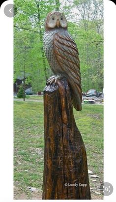 an owl statue sitting on top of a tree stump