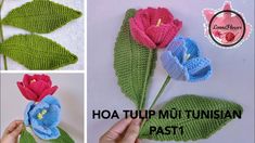 crocheted flowers made from yarn with the words hoa tup mui tunisan past