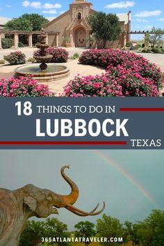 the top things to do in lubbock texas