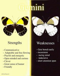 a poster with two butterflies and the words gerni on it, which are also in english