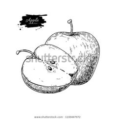 an apple drawn in black and white with the word apple on it's side