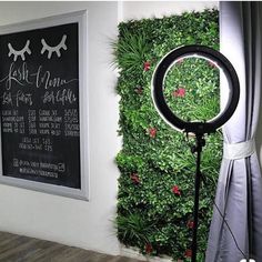 a green wall with a blackboard behind it and a camera in the foreground