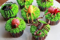 cupcakes decorated to look like bugs and grass