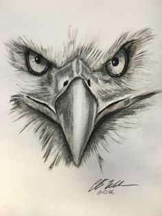 an eagle's head is shown with the eyes drawn in pencil and on paper