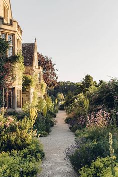 an old house with lots of plants and flowers around it