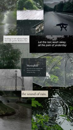 there is a collage with many different pictures in it, including rain and trees