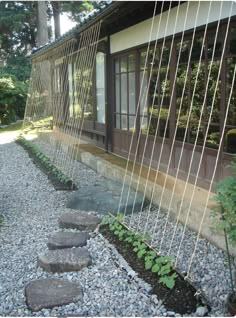 a stone path in front of a building with plants and rocks on the ground next to it