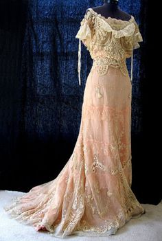 Edwardian early 1900's tambour lace gown Old Dress, Gibson Girl, Antique Dress, Retro Mode, Vintage Gowns, Vestidos Vintage, Old Fashion, Edwardian Fashion, Historical Dresses