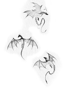 three drawings of dragon wings flying in the air