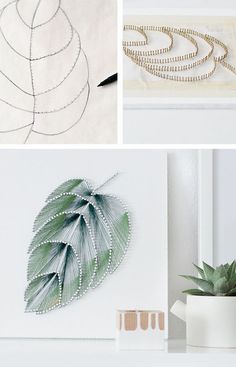 four different pictures with plants in them and one has a plant on the wall next to it