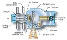 the structure of an electric motor